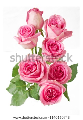 beuatiful roses bunch isolated on white background