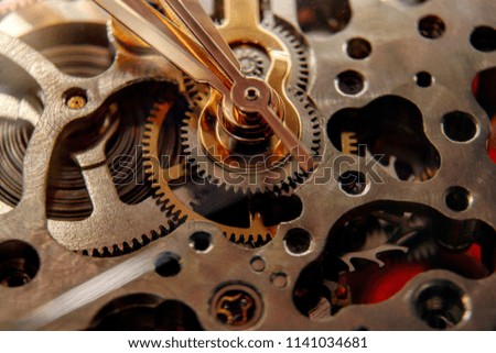 cogs in action self winding watch