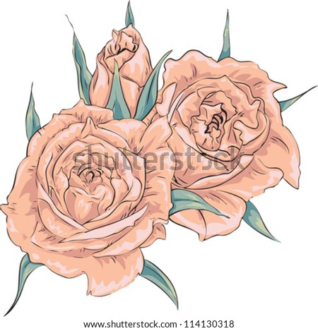 Tender roses. Flower vector element