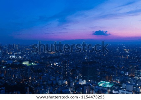 
Tokyo landscape · Magic hour