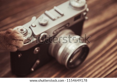cat`s feet on the retro camera on wooden background, retro style image