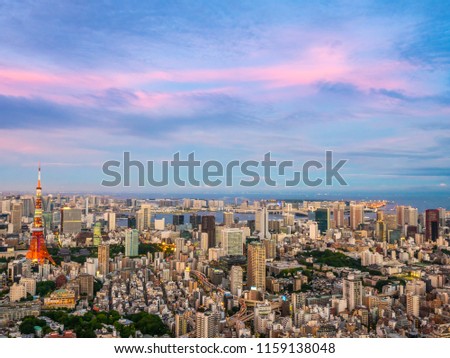 Beautiful Aerial view of architecture and tokyo tower building around city at sunset time in japan