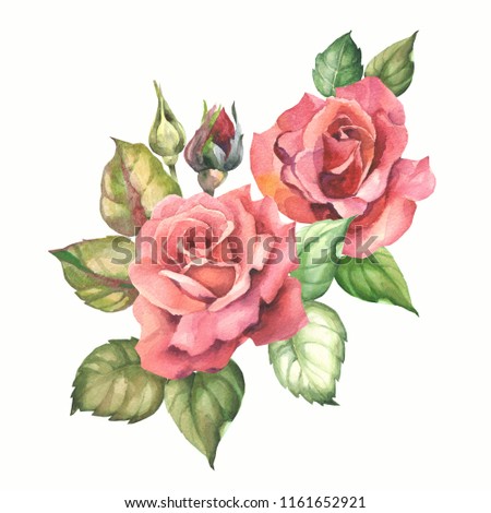 watercolor red roses with leaves