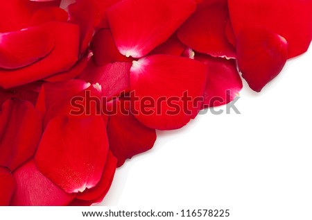 red rose petal corner