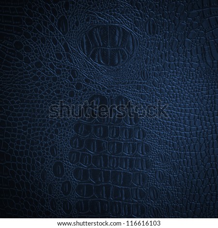 crocodile blue leather