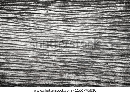Old grunge wood texture background, Close up old wood