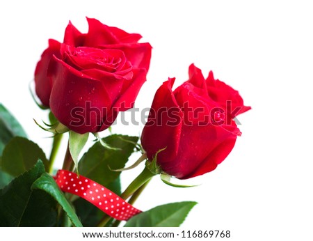 Bouquet of red roses on a white background