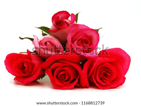 Colorful roses, beautiful flower bouquet on white background 