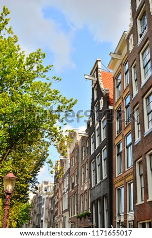 Historic Amsterdam apartment houses among trees on a sunny day.
