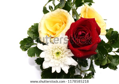 Isolated bouquet of roses on white background.