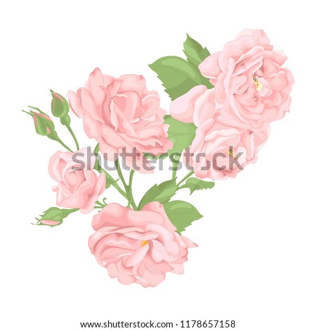 Flower pink rose, green leaves. Wedding concept. Floral poster, invite. Big bouquet of beautiful roses.