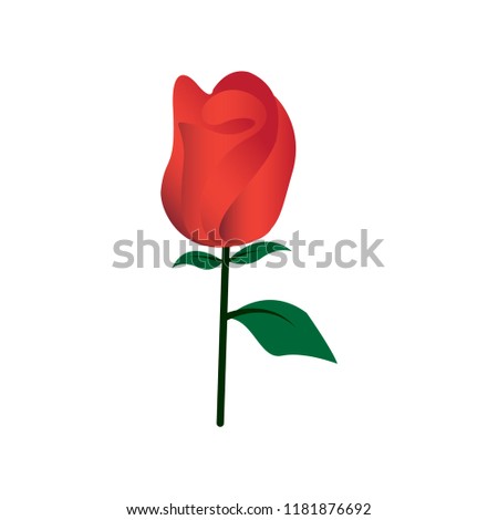 Gradient Color Rose Icon