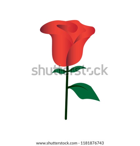 Gradient Color Rose Icon
