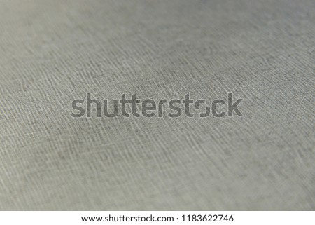 Texture of natural leather with lines and bumps. With blurring around the edges. Backdrop or background.