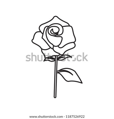 Simple Thin Line Rose Icon