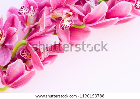 Spa and wellness setting with orchid flower, oil on wooden white background closeup