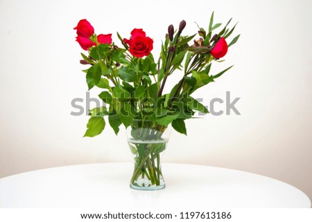 Flowers in the vase on the white background