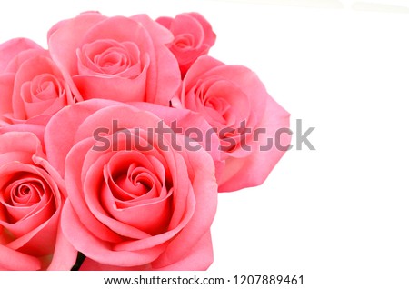 A bunch of pink roses