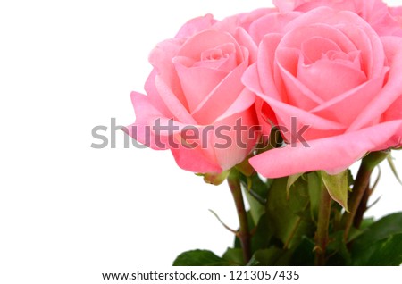 Pink rose bouquet isolated white