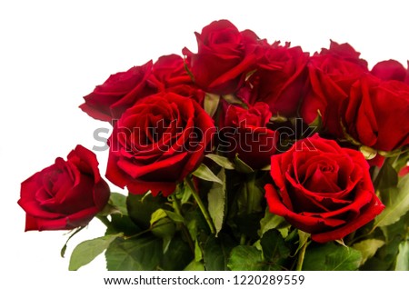 Picture of Bouquet of red roses with white background