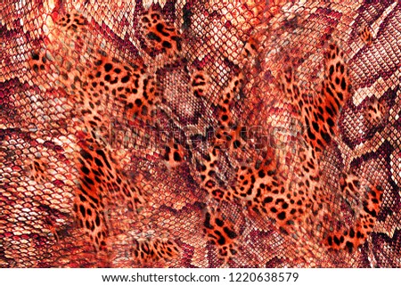 Leopard and snake pattern