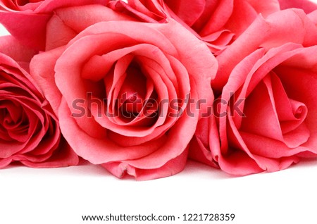 Pink roses bouquet lay down on white, front view