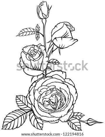 Decorative bouquet of flowers and buds of roses for design cards and invitations