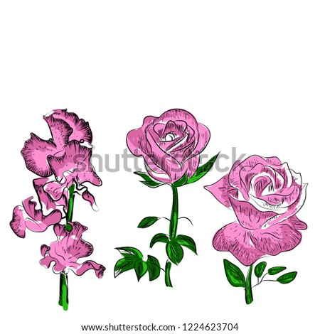 Floral vector spring card composition illustration background wedding birthday , valentine
