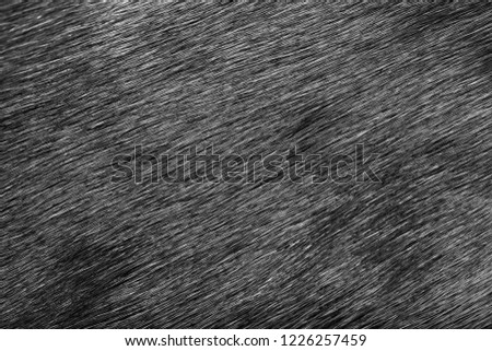 Fur, wool close-up background texture black fur brown wool