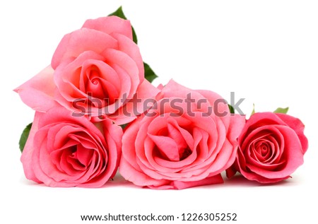 A family rose bouquet  lay down on white background