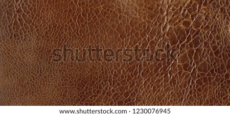 fine leather texture