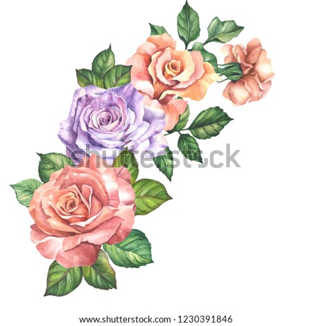 flowers illustration with watercolor roses