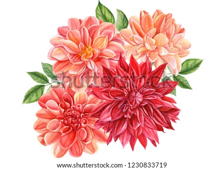 beautiful bouquet of flowers  dahlia isolated on a white background, watercolor illustration, botanical art