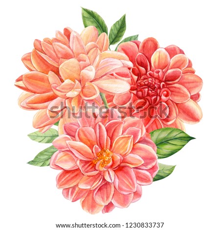 beautiful bouquet of flowers  dahlia isolated on a white background, watercolor illustration, botanical art