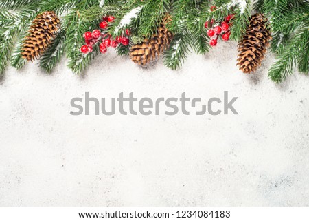 Christmas background with fir tree and cones on white  background. Top view with copy space.
