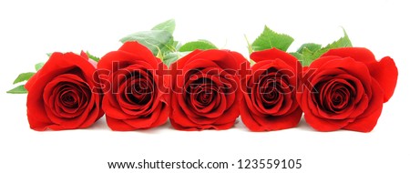 Beautiful red roses arranged as a horizontal border over white
