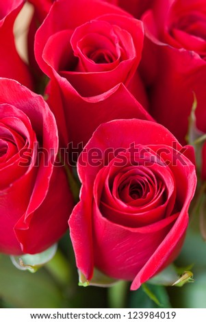 background of a beautiful bouquet of red roses