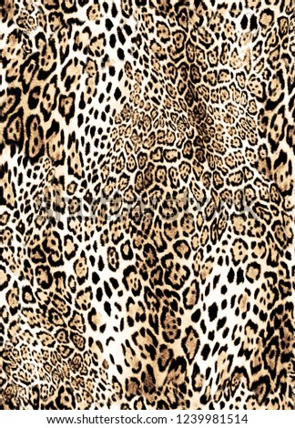 abstract leopard pattern