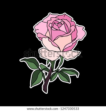 Delicate pink rose flower. Vector illustration. Creative realistic drawing, tattoo. Vintage paintings, postcard, background, wallpaper. Interior decoration, textile. Flowers gift for women
