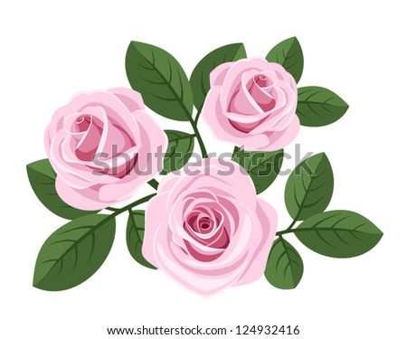 Three pink roses with leaves on white. Vector illustration.