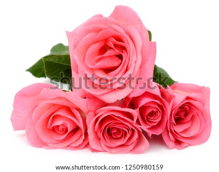a Pink Rose Family bouquet