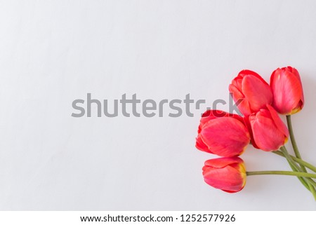 Floral frame with red tulips on a light background. Flat lay, top view