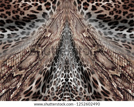 Colorful animal print, leopard,snake and colorful abstract pattern