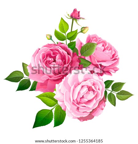 Beautiful bouquet flowers of pink blooming roses with leaves and buds isolated on a white background. Lovely floral design element. Vector illustration