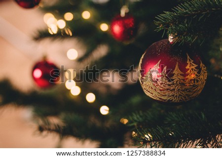 Red Bauble On Christmas Tree