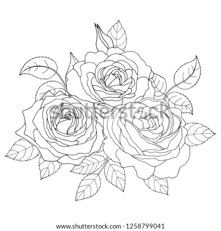 Beautiful black and white bouquet rose and leaves. Floral arrangement isolated on background. Design greeting card and invitation of the wedding, birthday, holiday. Vector illustration. 