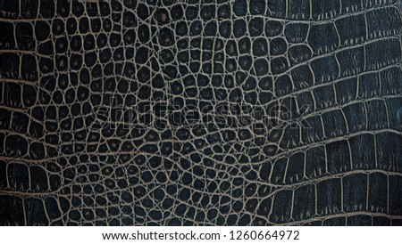 Surface of  crocodile leather. Crocodile leather as a background.
