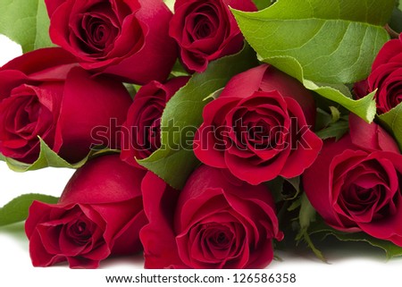 A close up horizontal image of red rose head on a white background