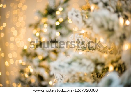 Close-up of a Christmas tree with snow on the background of a blurred bright background