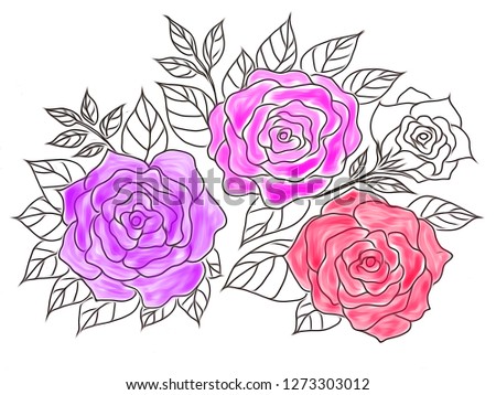 Drawing beautiful roses flowers on over white background,decorative series with pen line,used for floral pattern of fabric,wallpaper,paper,etc. Valentine concept.